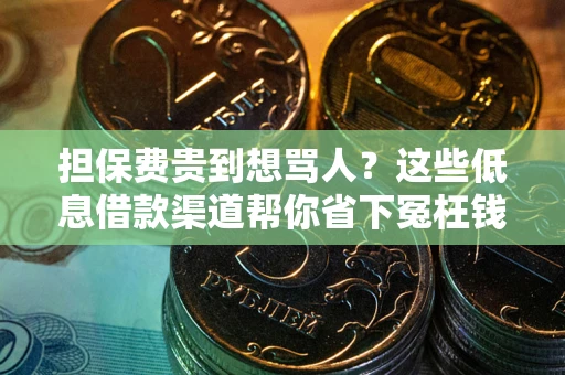 北京担保费贵到想骂人？这些低息借款渠道帮你省下冤枉钱