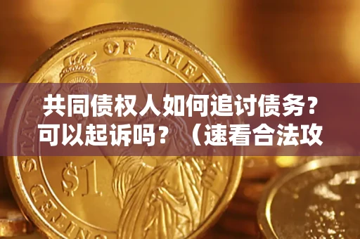 北京共同债权人如何追讨债务？可以起诉吗？（速看合法攻略）